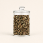 Dong Ling Cao Traditional Chinese Herb Rabdosia Rubescens